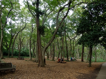 秋の実りの思い出．１～神代植物公園（２０１１．１０）_a0111680_17482024.jpg