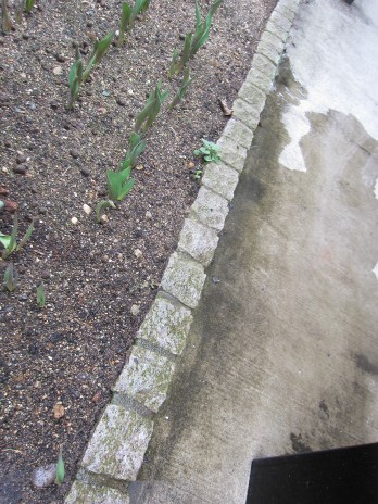 d0081481_1119679.jpg