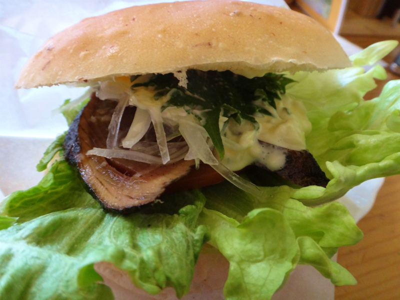 2012/03/24-25 高知トレイルセッションDay.1_b0220886_10565647.jpg