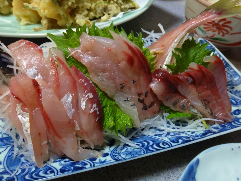 2012/03/24-25 高知トレイルセッションDay.1_b0220886_11191790.jpg