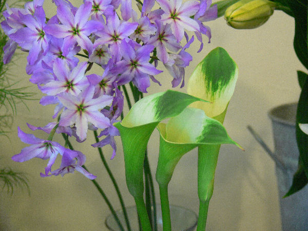 e0140986_1056110.jpg