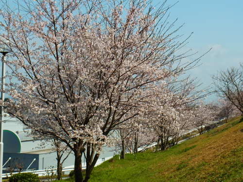 a0214490_15391021.jpg