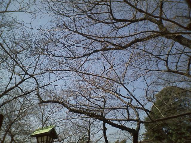 c0086895_1354729.jpg