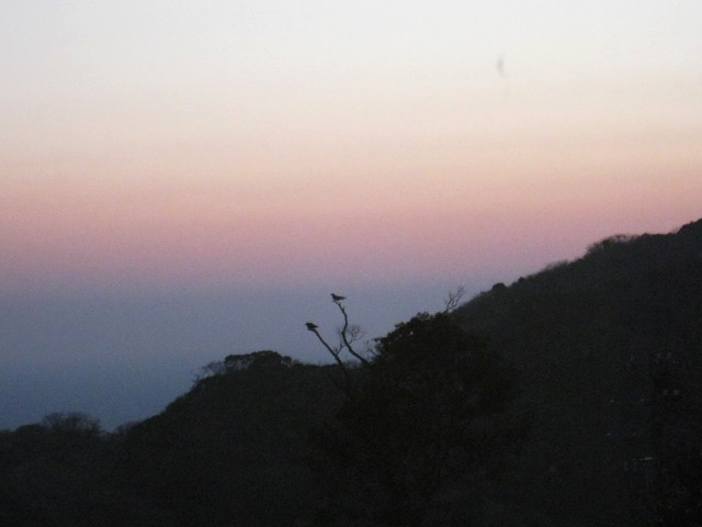 e0025596_1133053.jpg