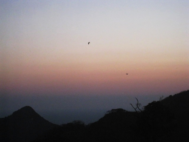 e0025596_1171913.jpg