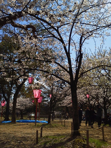 b0067598_21531698.jpg
