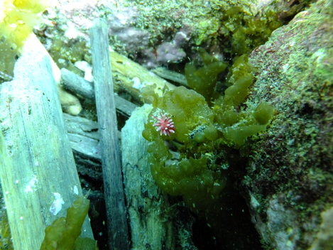 e0115199_12122911.jpg