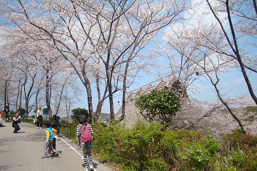 第３回岡豊山さくらまつり 団塊世代のビックバンドサイコ