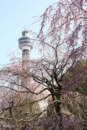 a0115202_2257185.jpg