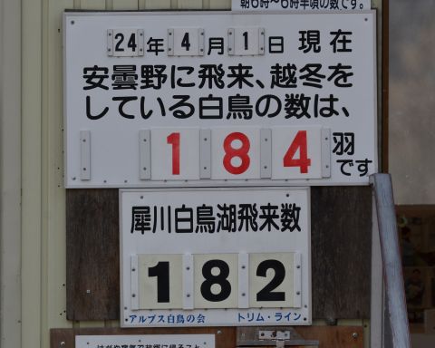 e0103903_17595249.jpg