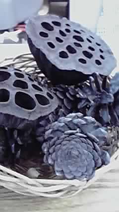 a0243305_15195547.jpg