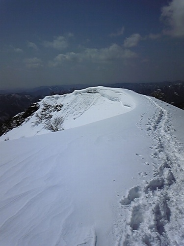 a0078106_2214253.jpg