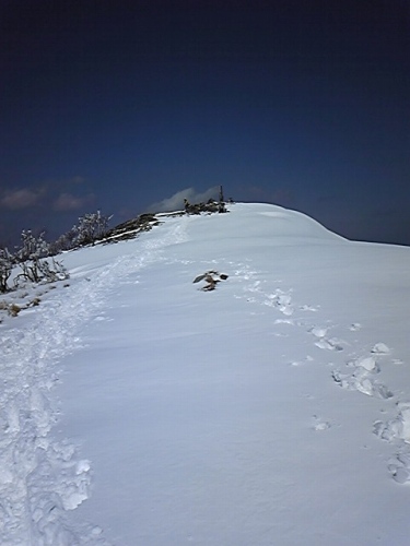 a0078106_221522.jpg