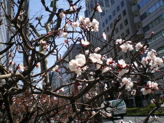 c0137507_194362.jpg