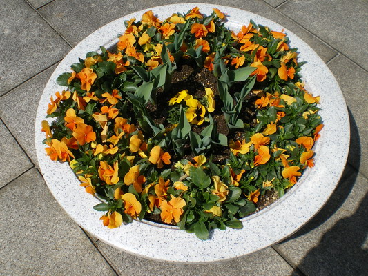 c0137507_19454429.jpg