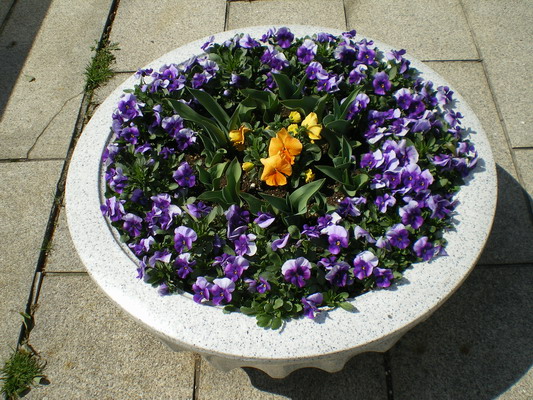 c0137507_19455991.jpg