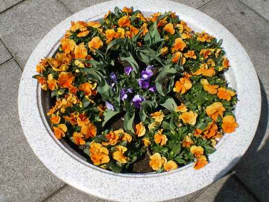 c0137507_19461627.jpg