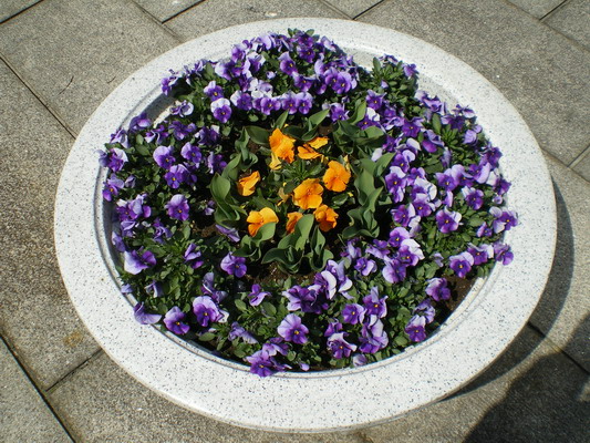 c0137507_19463017.jpg