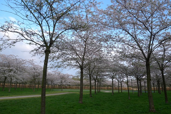 a0187808_712944.jpg