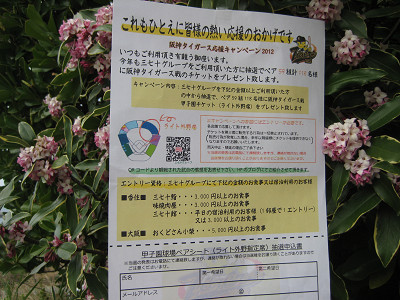 食べて!泊まって!甲子園へ行こう♪(*・∀-)b_d0135908_12412326.jpg