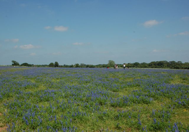 f0227709_13372293.jpg