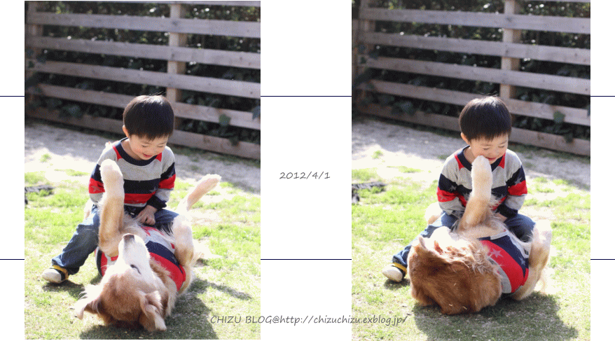 c0017311_20151472.gif