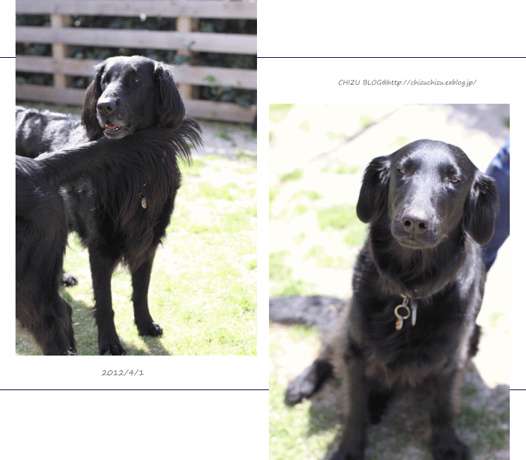 c0017311_2033811.gif