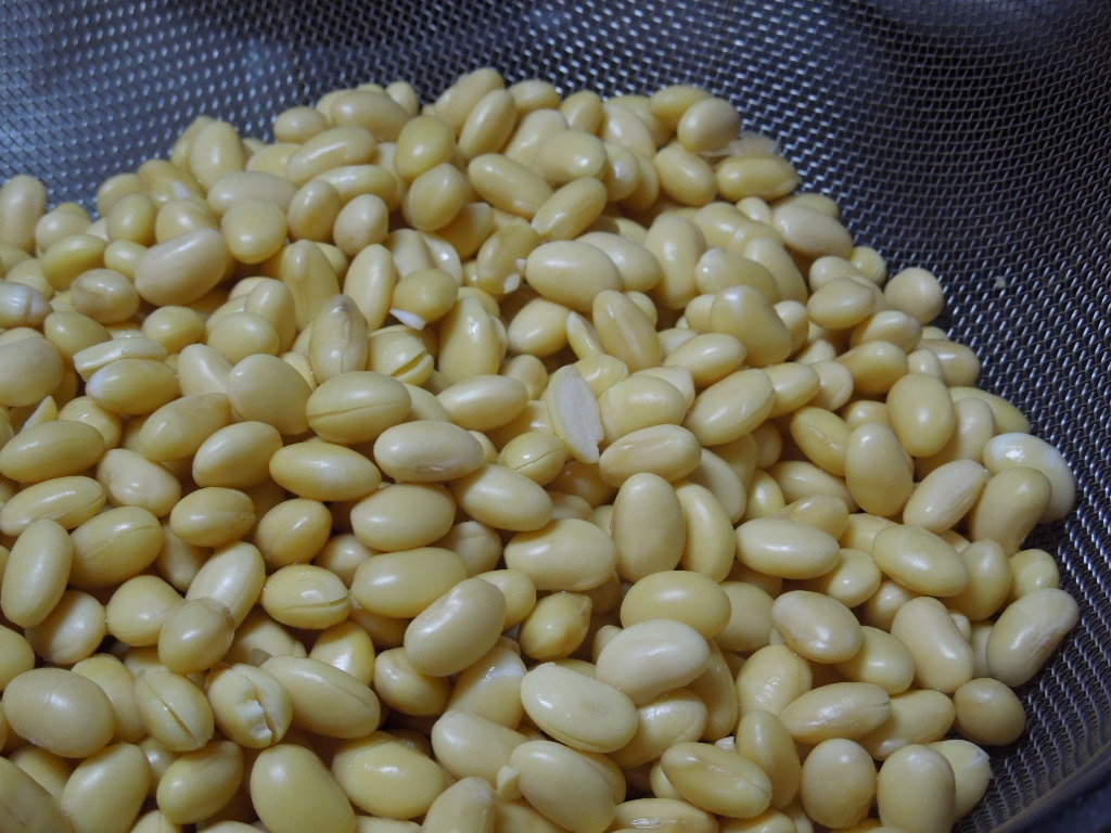 「手作り味噌 ②-2012」_a0120513_19294616.jpg