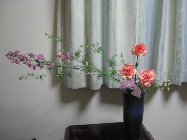 f0226713_1505217.jpg