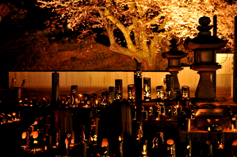 菊間町の掌禅寺で花祭り_f0184314_21474816.jpg