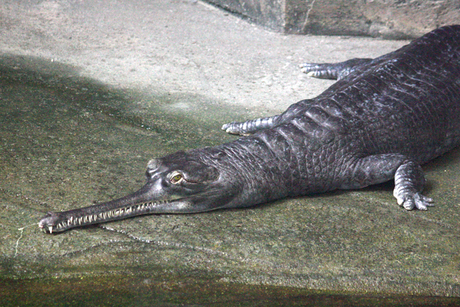 c0200118_026138.jpg
