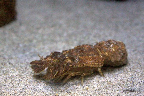 c0200118_053669.jpg