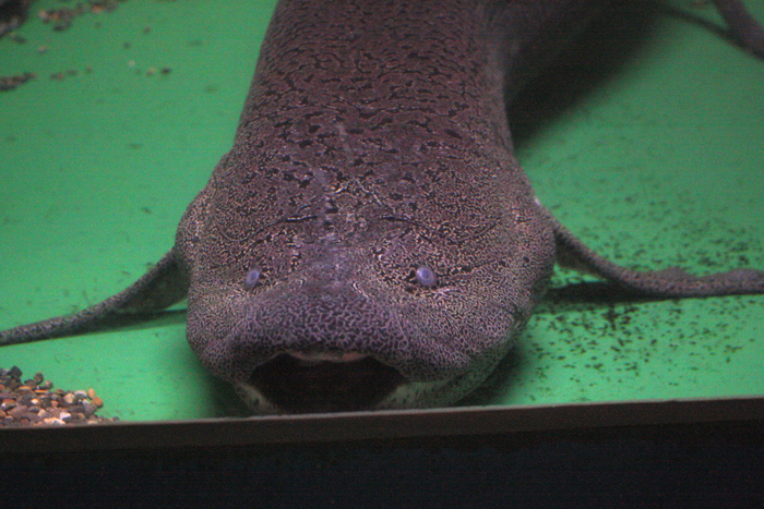 c0200118_115554.jpg