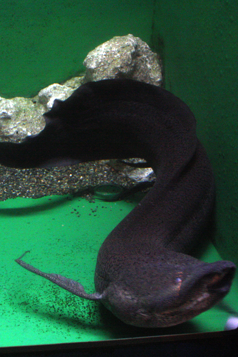 c0200118_1155917.jpg