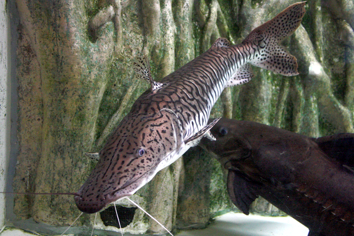 c0200118_13875.jpg