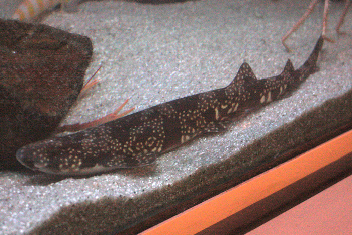 c0200118_25382.jpg
