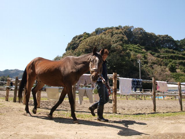 b0187620_22413990.jpg