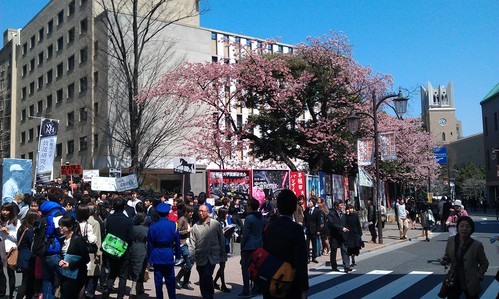 もし早稲田大学入学式で新歓をしたら_f0208721_1655233.jpg