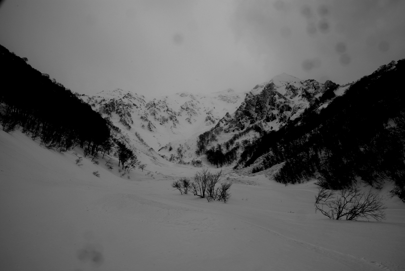 b0062024_17135697.jpg