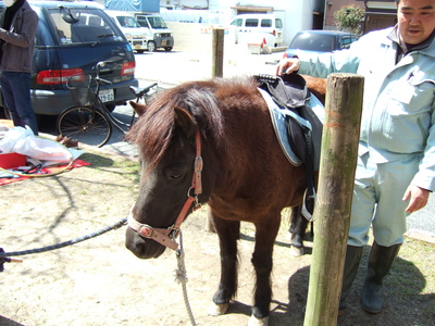 ４月１日　東川ぼんぼりまつり_c0104626_14442594.jpg