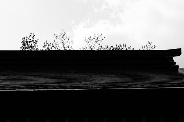 f0007926_15315713.jpg