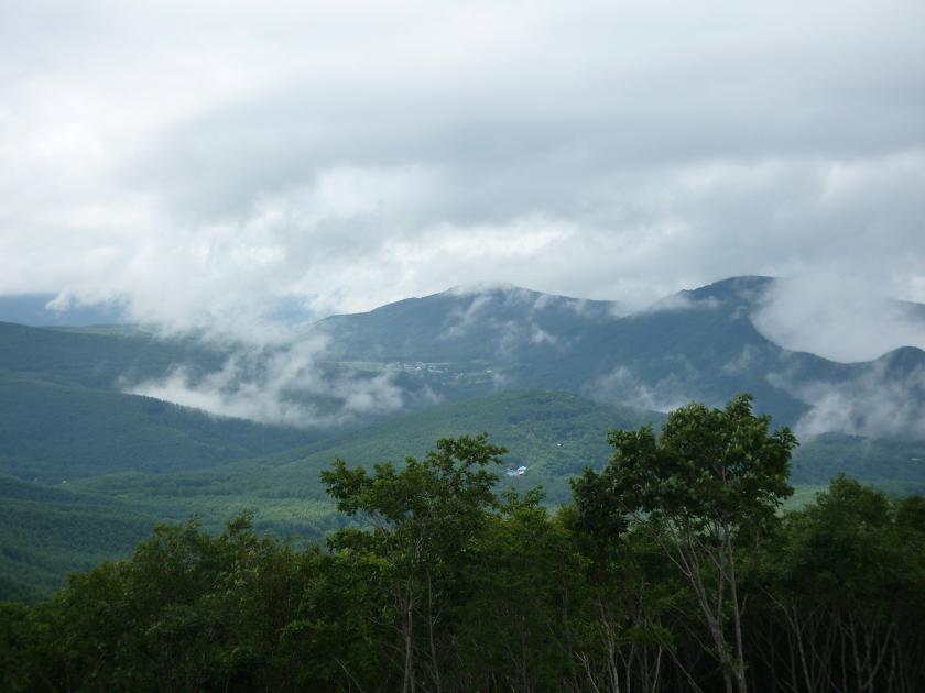 c0202934_12382781.jpg