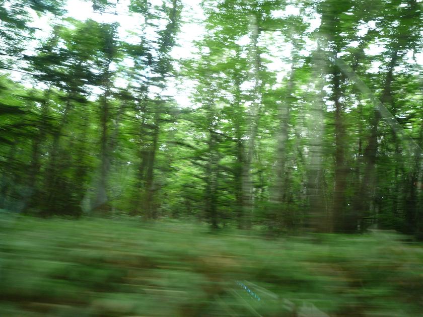 c0202934_12384812.jpg