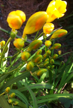 c0036138_2052687.jpg