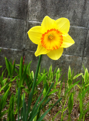 c0036138_2057122.jpg