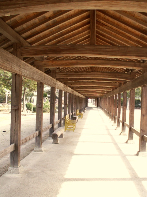 b0139239_14505945.jpg
