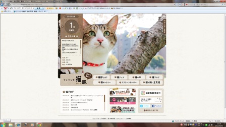 フェリシモ猫部今日の猫 ぽー編。_a0143140_22124139.jpg