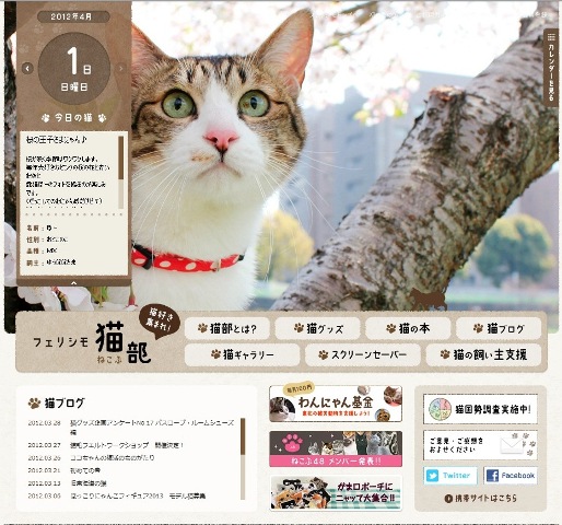 フェリシモ猫部今日の猫 ぽー編。_a0143140_23522845.jpg