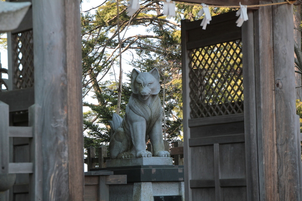 おしるこ、いざ御岳山へ！　「おいぬさま」に逢いに行く 後編_e0249240_22352783.jpg