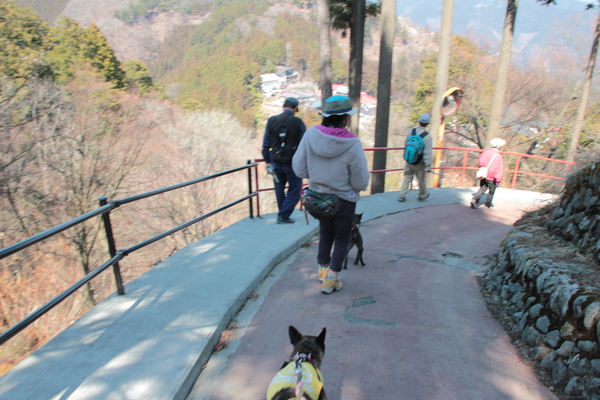 おしるこ、いざ御岳山へ！　「おいぬさま」に逢いに行く 後編_e0249240_23331617.jpg